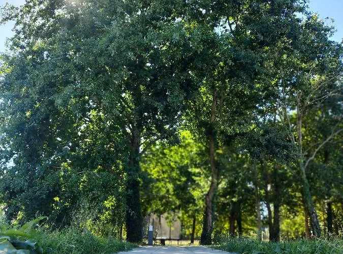 Maison Moderne A 1km Du Circuit Des 24h Du Mans * Arnage